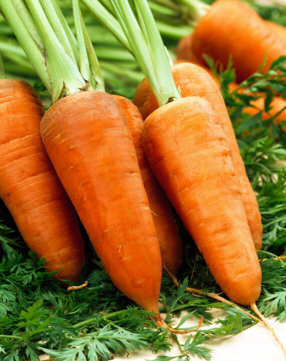 Fresh Orange Carrots – Sold per Bag - Image 2