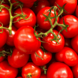 Fresh Local Tomatoes – Traditional Market Bucket