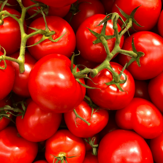 Fresh Local Tomatoes – Traditional Market Bucket