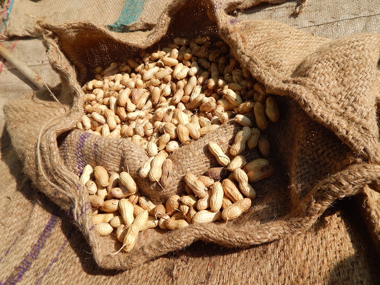 Unpeeled Groundnut – Sold per Bucket - Image 2