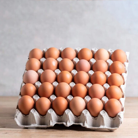 Fresh Table Eggs – Sold per Tray (30 Eggs) and in Bulk
