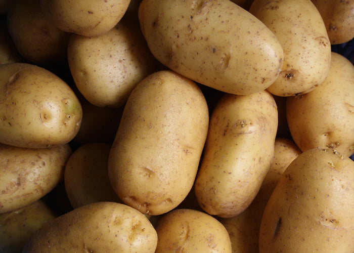 Fresh Irish Potato – Sold per Bucket - Image 3