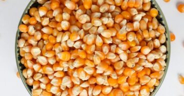 Clean Dry Maize Grain – Yellow/per bucket