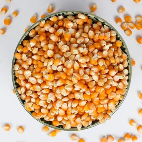 Clean Dry Maize Grain – Yellow/per bucket