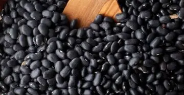 Clean Dry Beans – Black (Sold per Bucket)