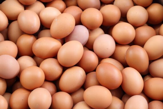 Fresh Table Eggs – Sold per Tray (30 Eggs) and in Bulk - Image 2