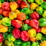 Fresh Hot Pepper (sold per bag)