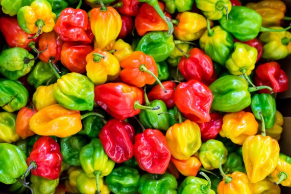 Fresh Hot Pepper (sold per bag)