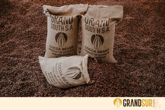 Menchum Valley Cocoa Beans –Sold per 50Kg Bag