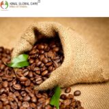 Northwest Cameroon Coffee Beans – Freshly Harvested | Sold Per KG